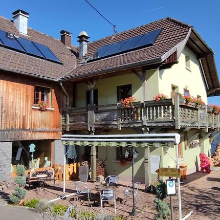 Les 4 Saisons Hotel Kruth Exterior photo